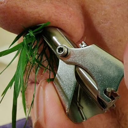 Ručni Trimer za Dlačice u Nosu